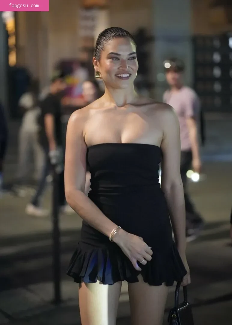 Shanina Shaik