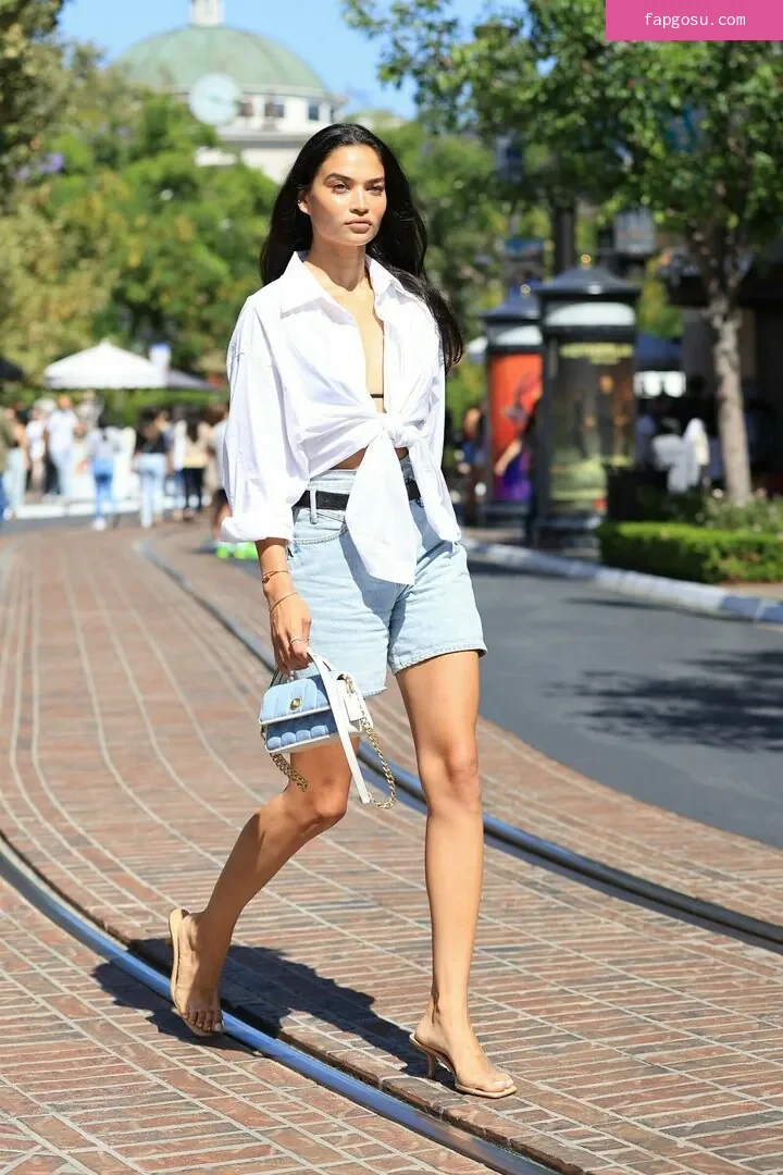 Shanina Shaik