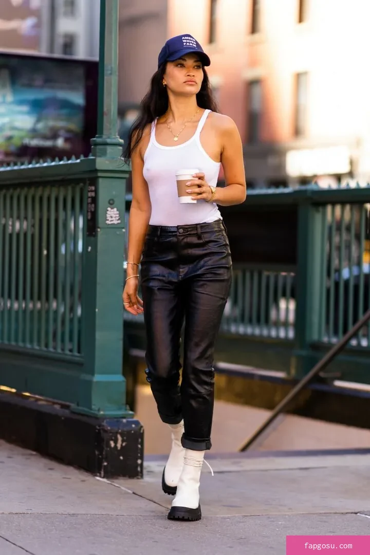 Shanina Shaik