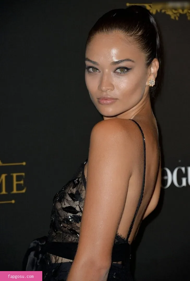 Shanina Shaik