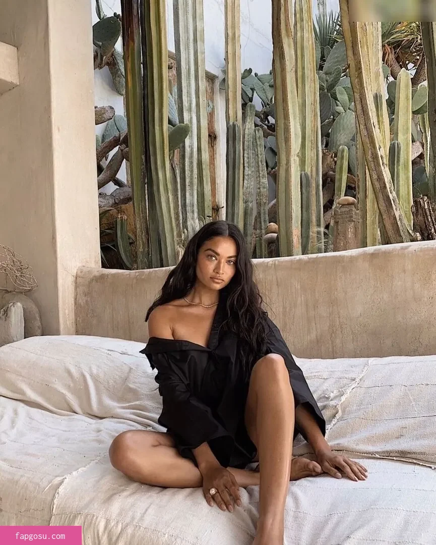 Shanina Shaik