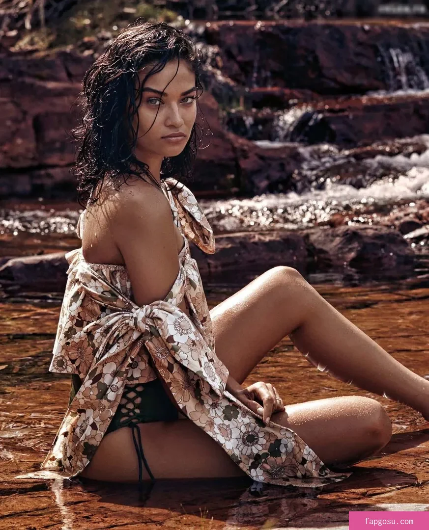 Shanina Shaik