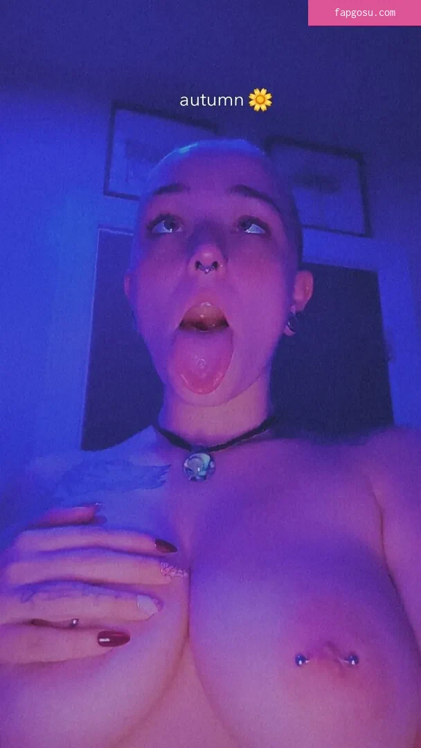 short_shxtt19