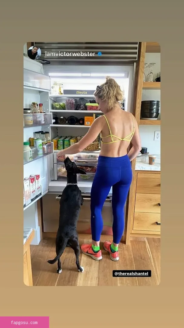 Shantel VanSanten