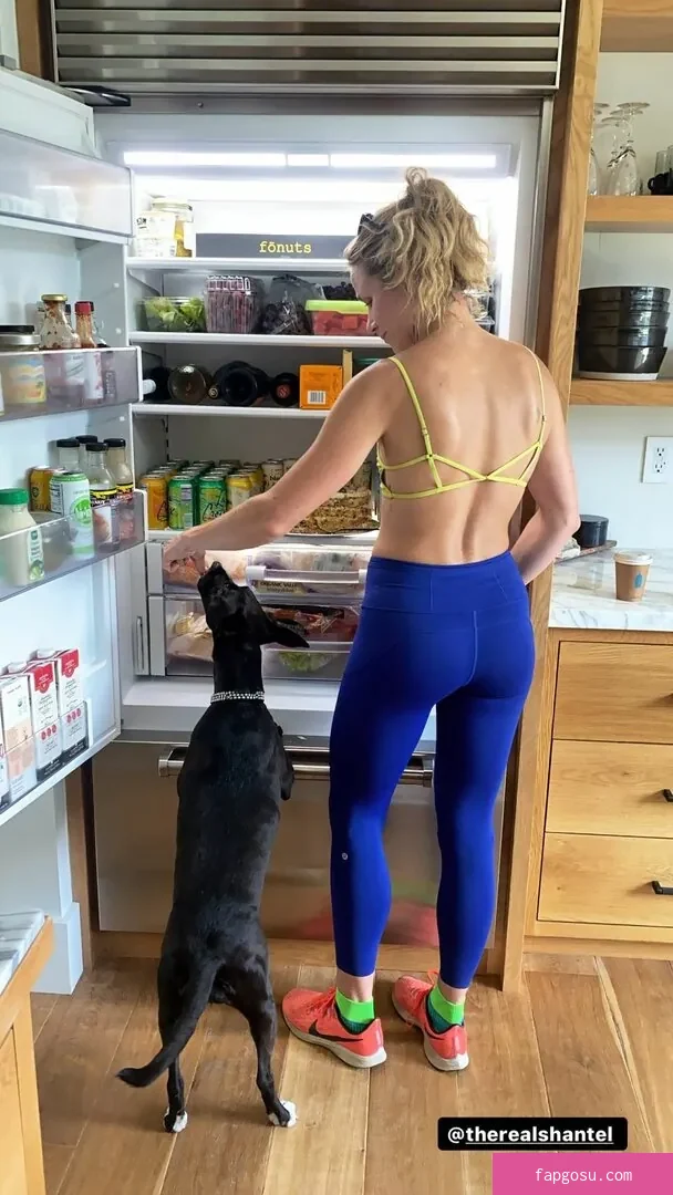 Shantel VanSanten