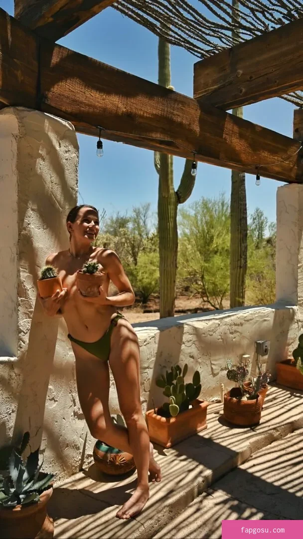 Shantel VanSanten