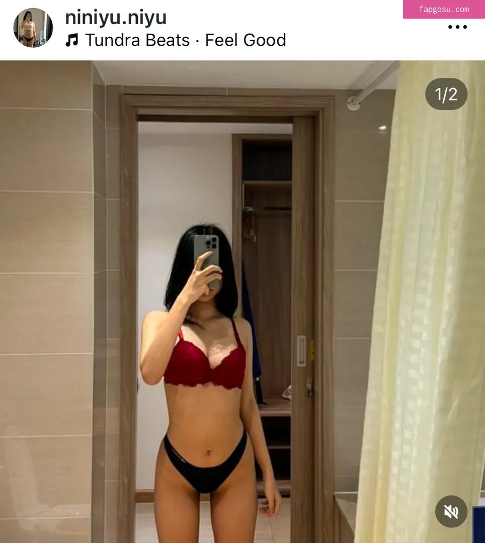 Viet.nini