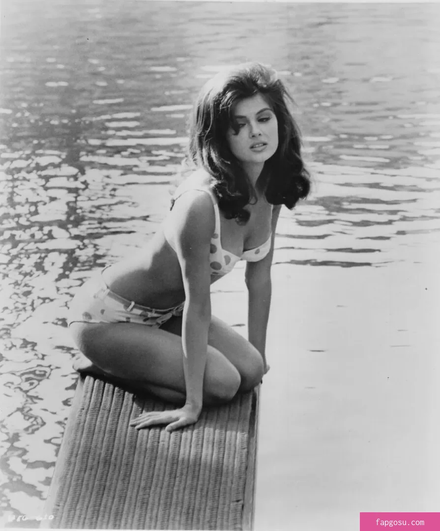 Vintage Starlets