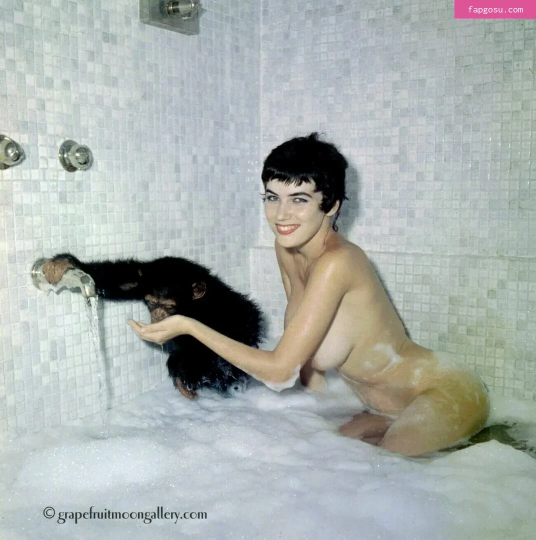 Vintage Starlets
