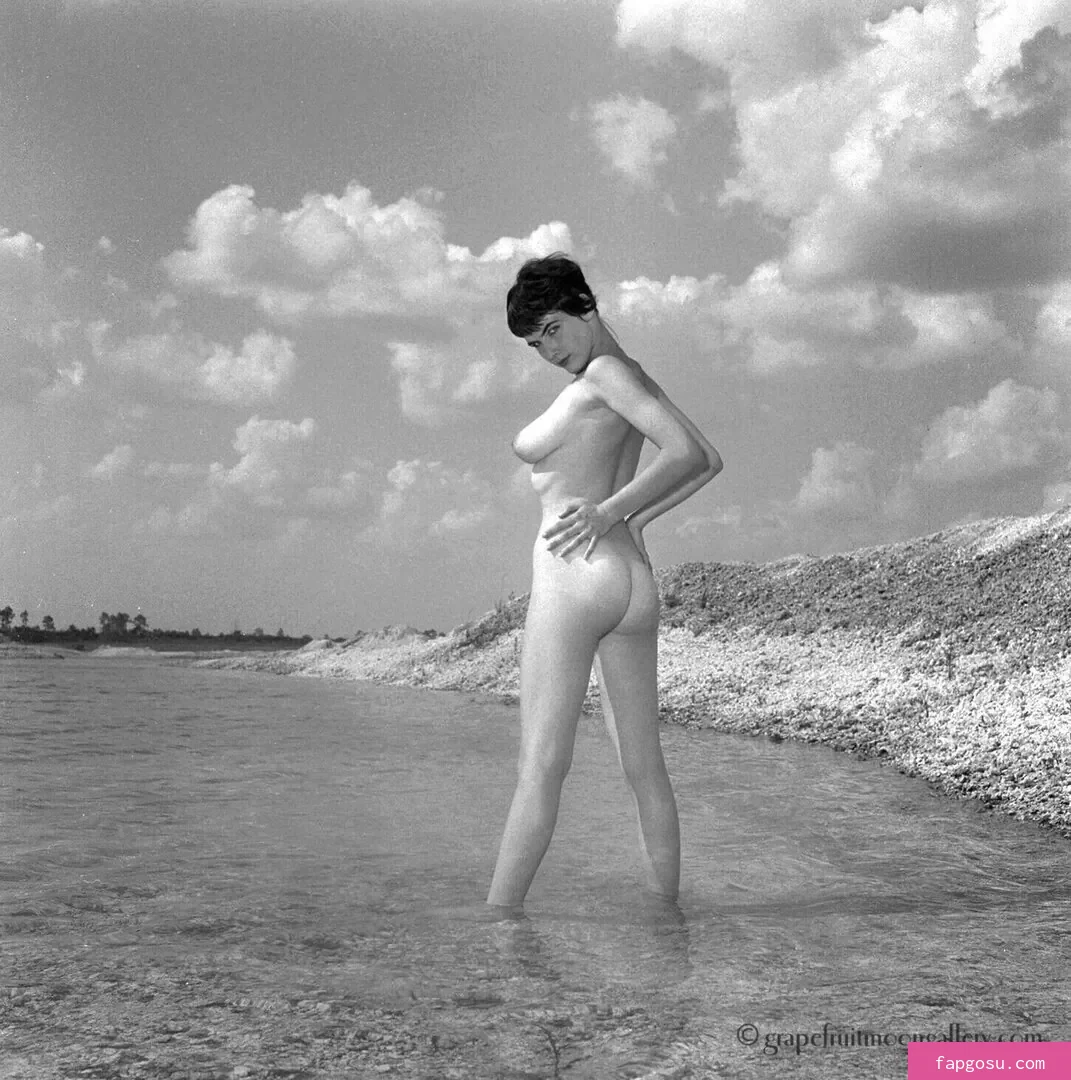 Vintage Starlets