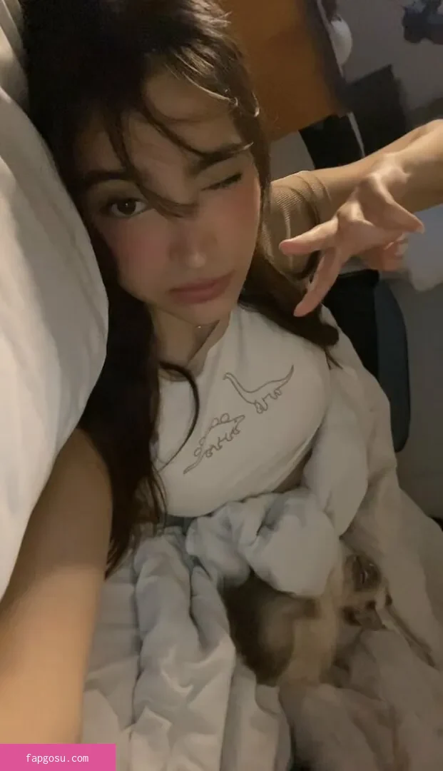 xmisabear / misabear
