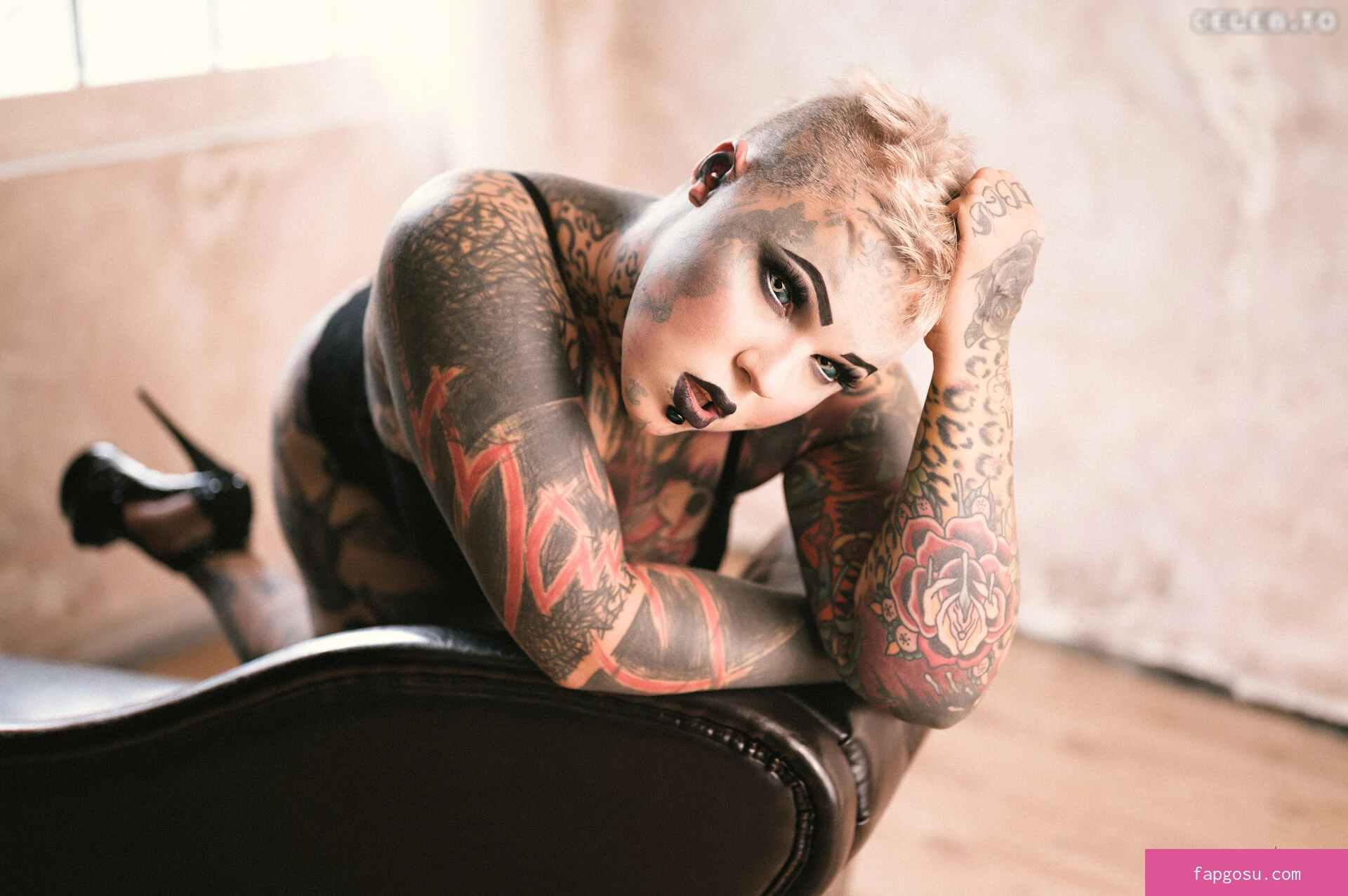 YukiCat | Felis Silvestris| Sick_fucks_69