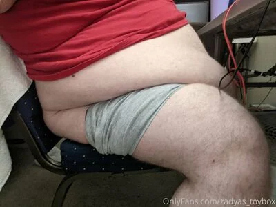 zadyas_toybox content